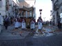 infiorata (102)